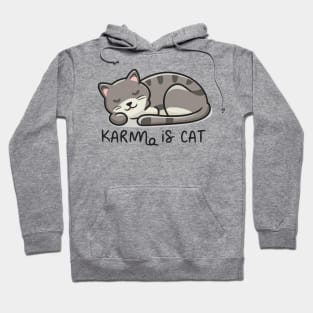 Karma Is A Cat Hoodie